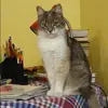 Отзыв от Фаина Горбачева
